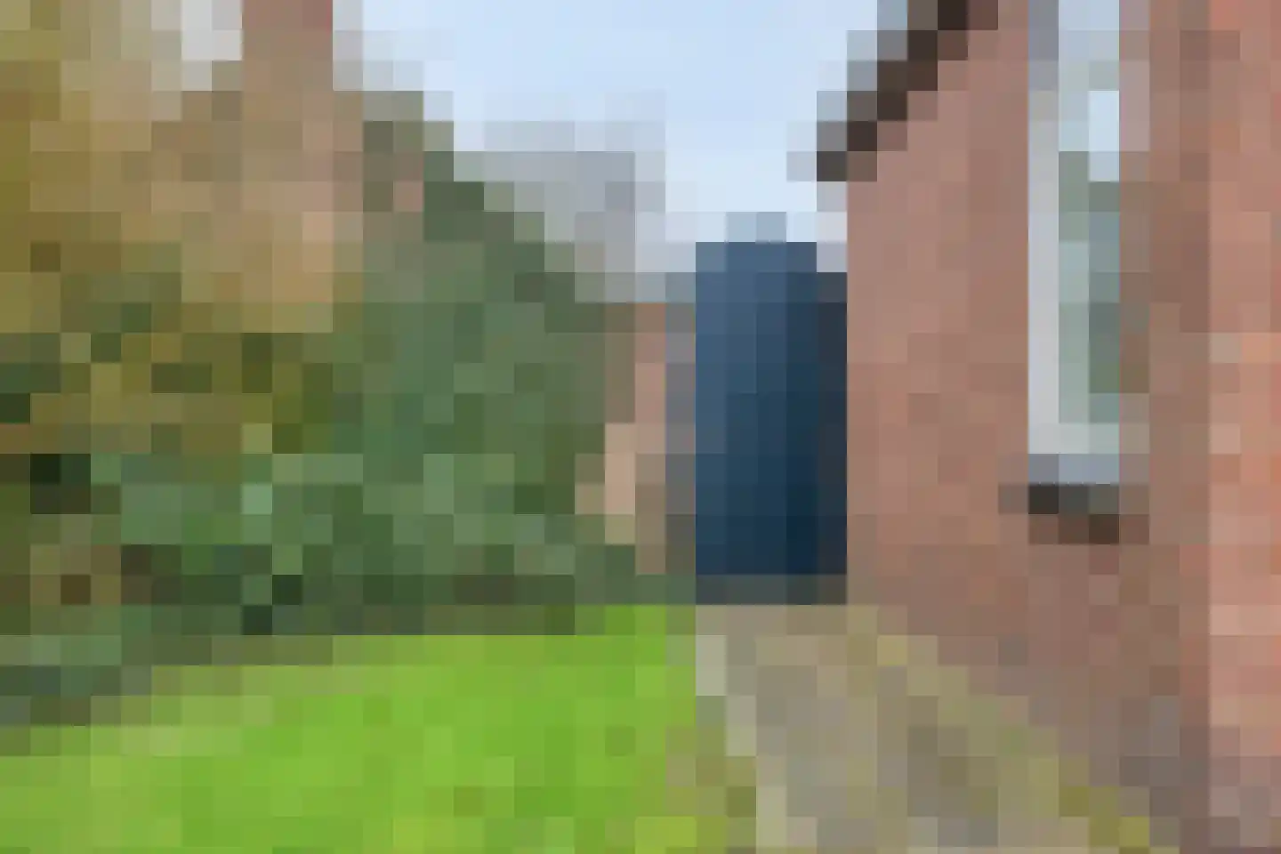 De Leijen 34 Gorredijk thumbnail 6