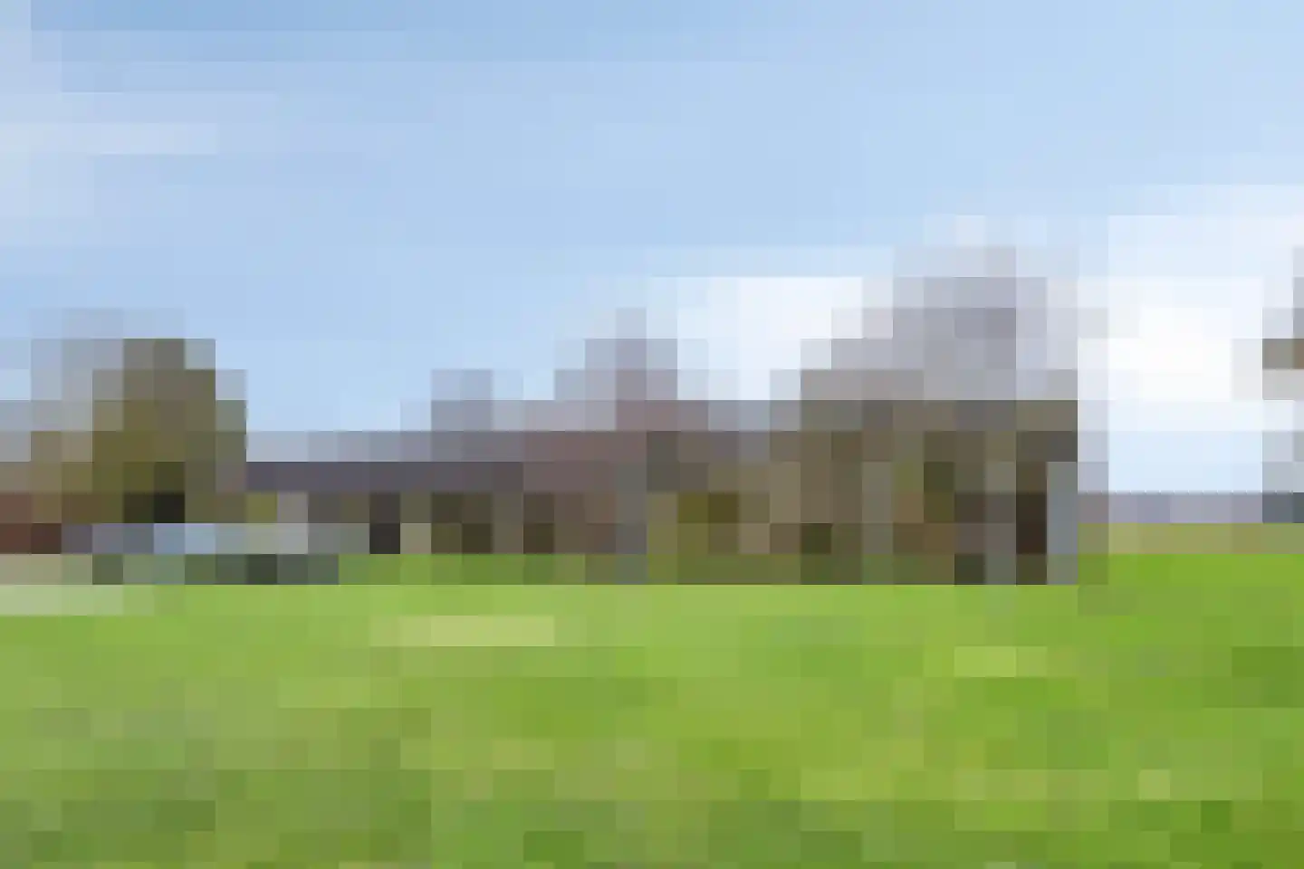 De Leijen 34 Gorredijk thumbnail 74