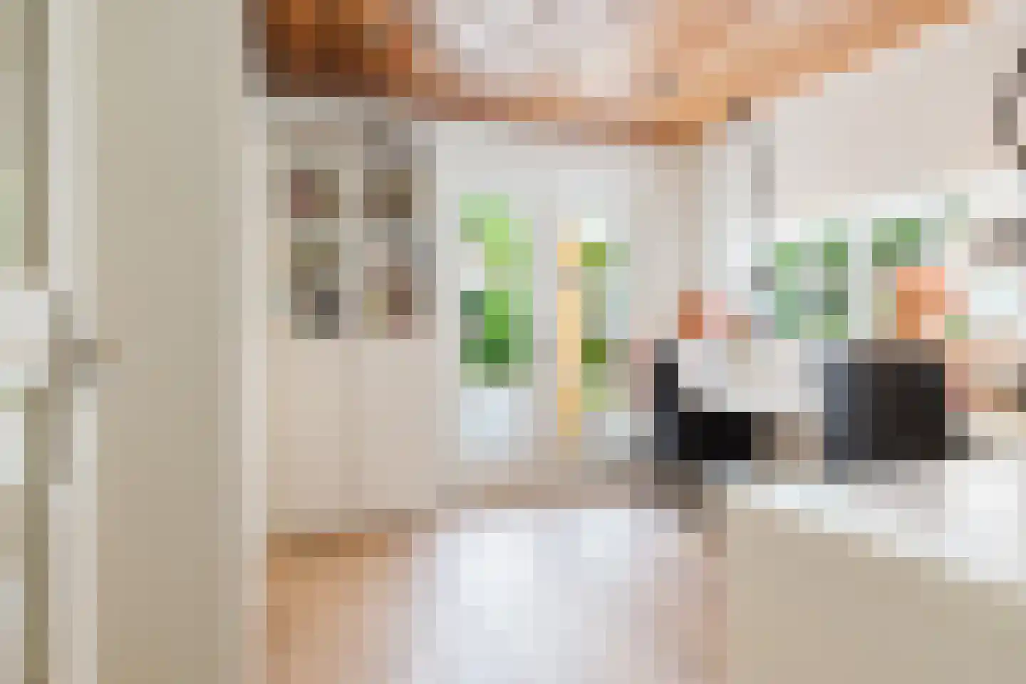 De Leijen 39 Gorredijk thumbnail 31