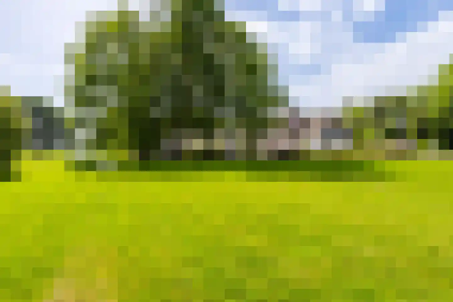 De Leijen 39 Gorredijk thumbnail 5