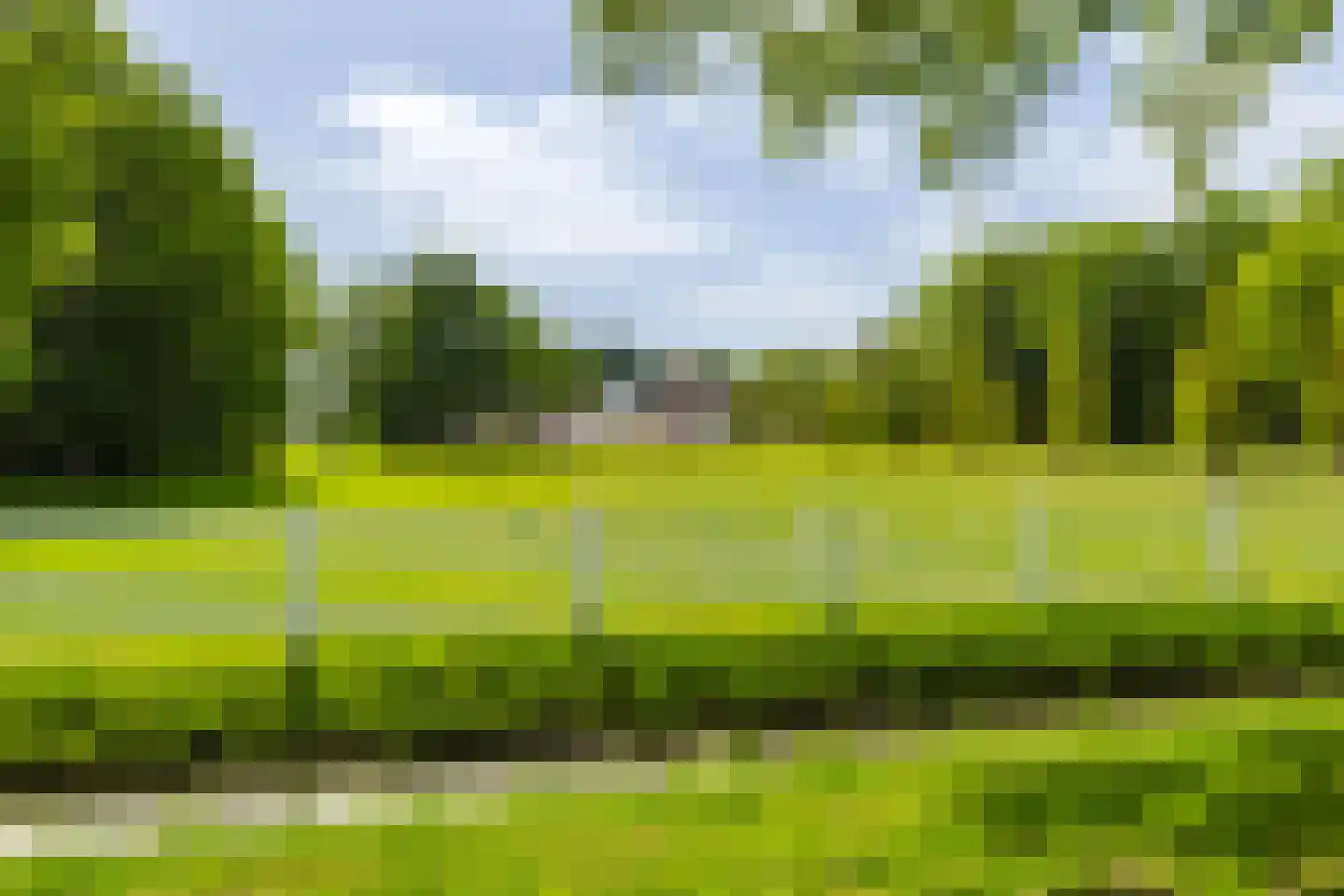 De Leijen 39 Gorredijk thumbnail 6