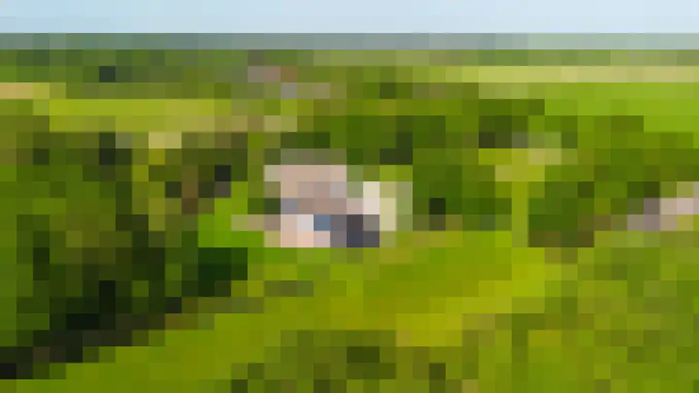 De Leijen 39 Gorredijk thumbnail 61