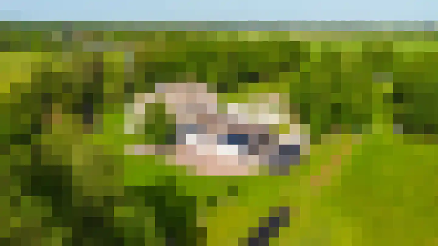 De Leijen 39 Gorredijk thumbnail 62