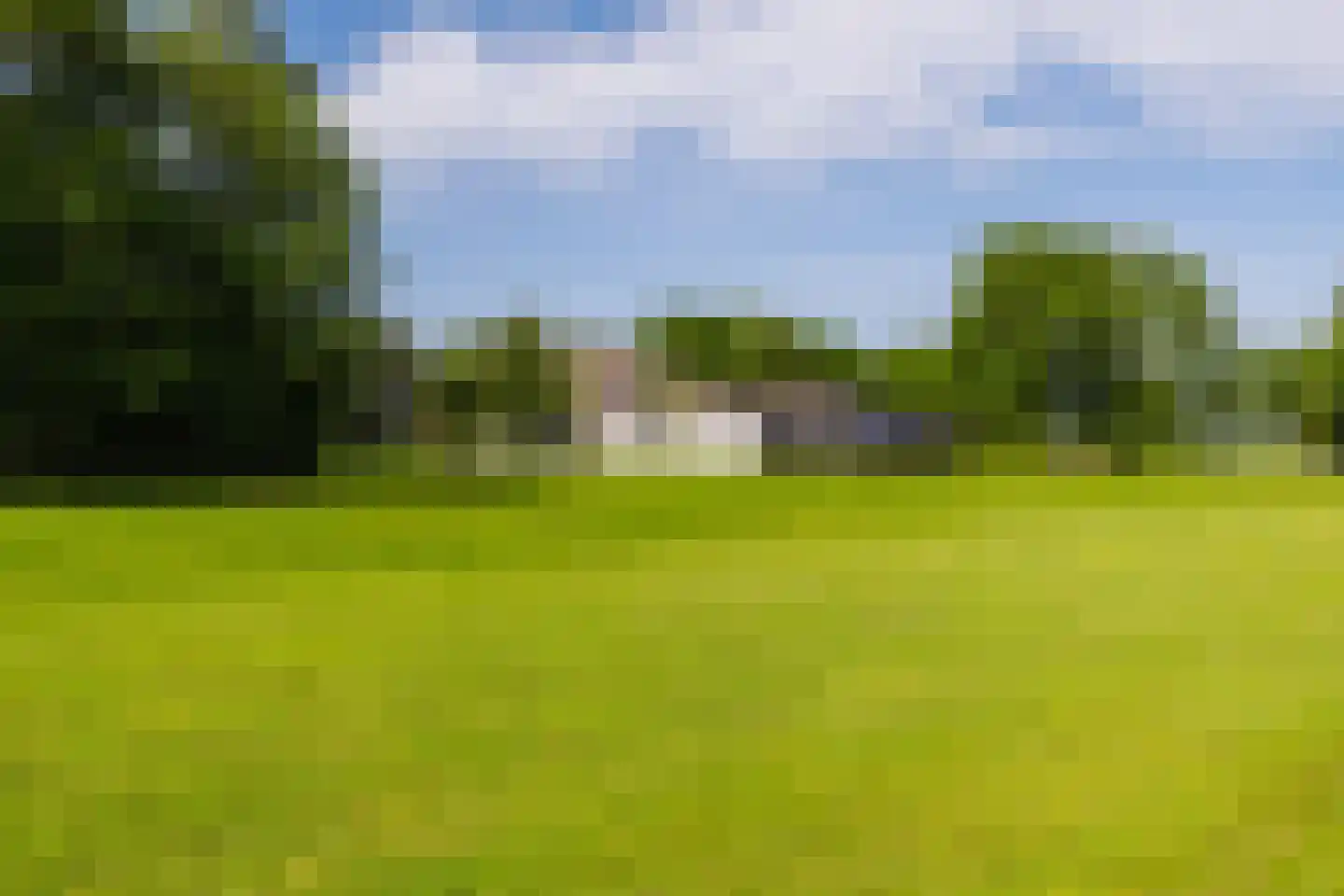 De Leijen 39 Gorredijk thumbnail 64
