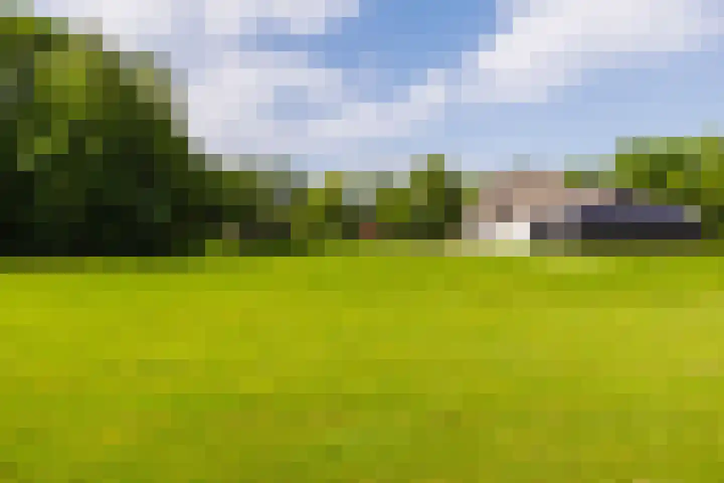 De Leijen 39 Gorredijk thumbnail 65