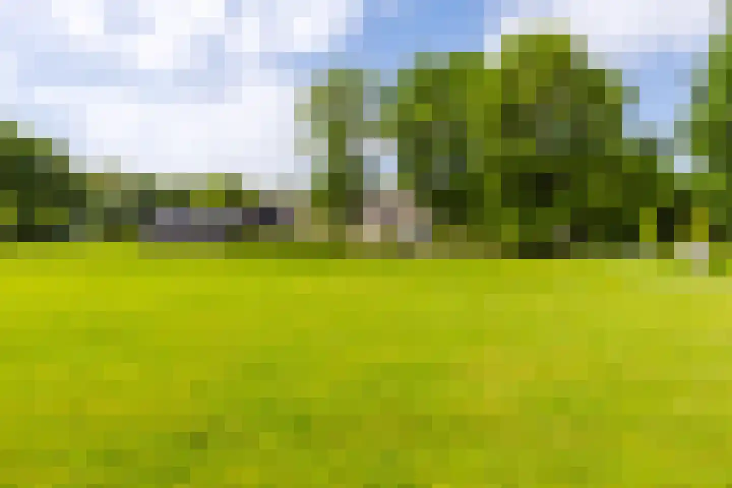 De Leijen 39 Gorredijk thumbnail 66