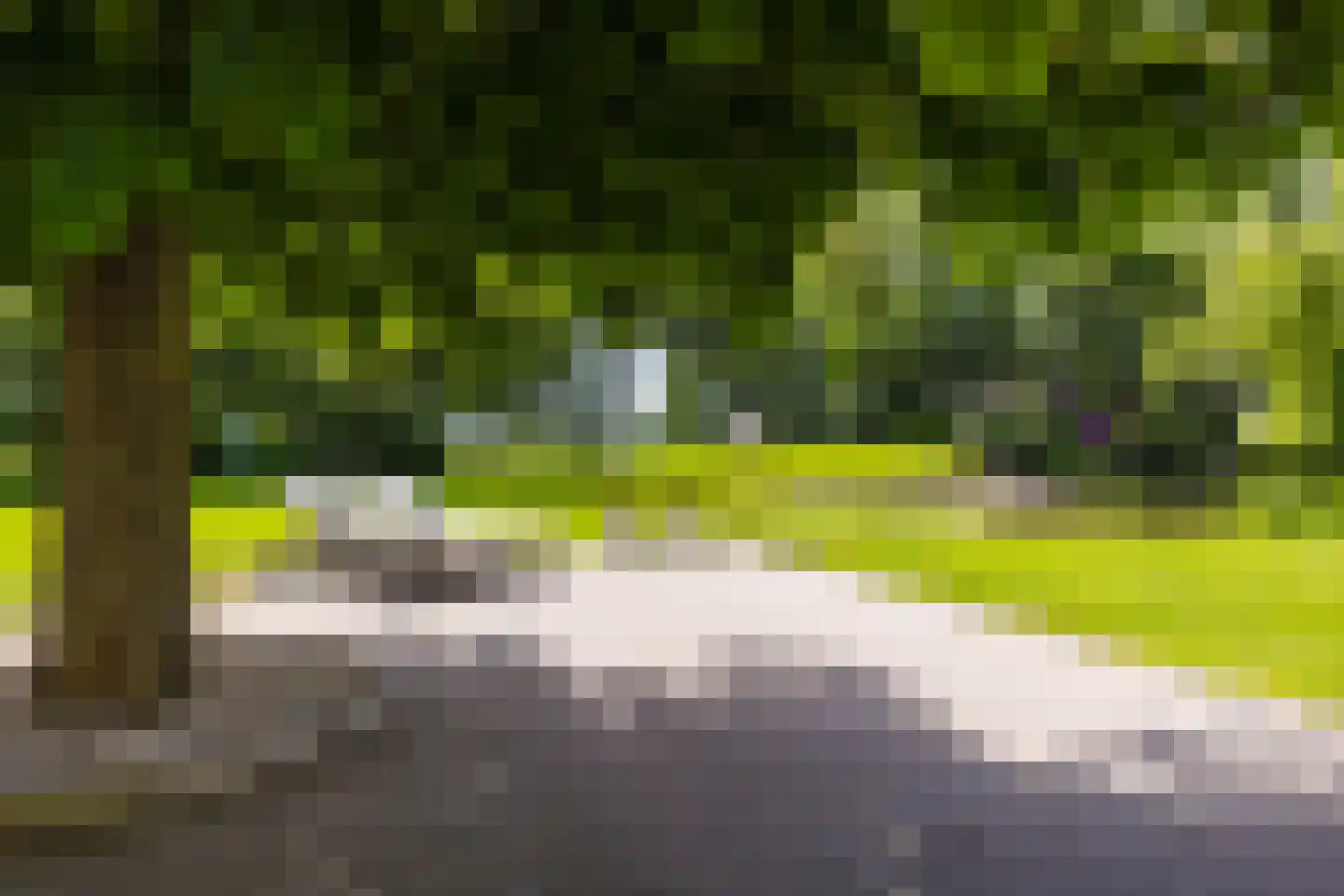 De Leijen 39 Gorredijk thumbnail 67