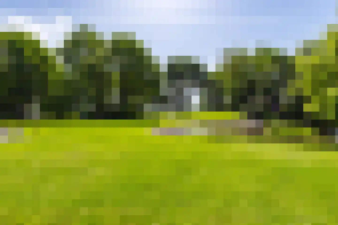 De Leijen 39 Gorredijk thumbnail 68