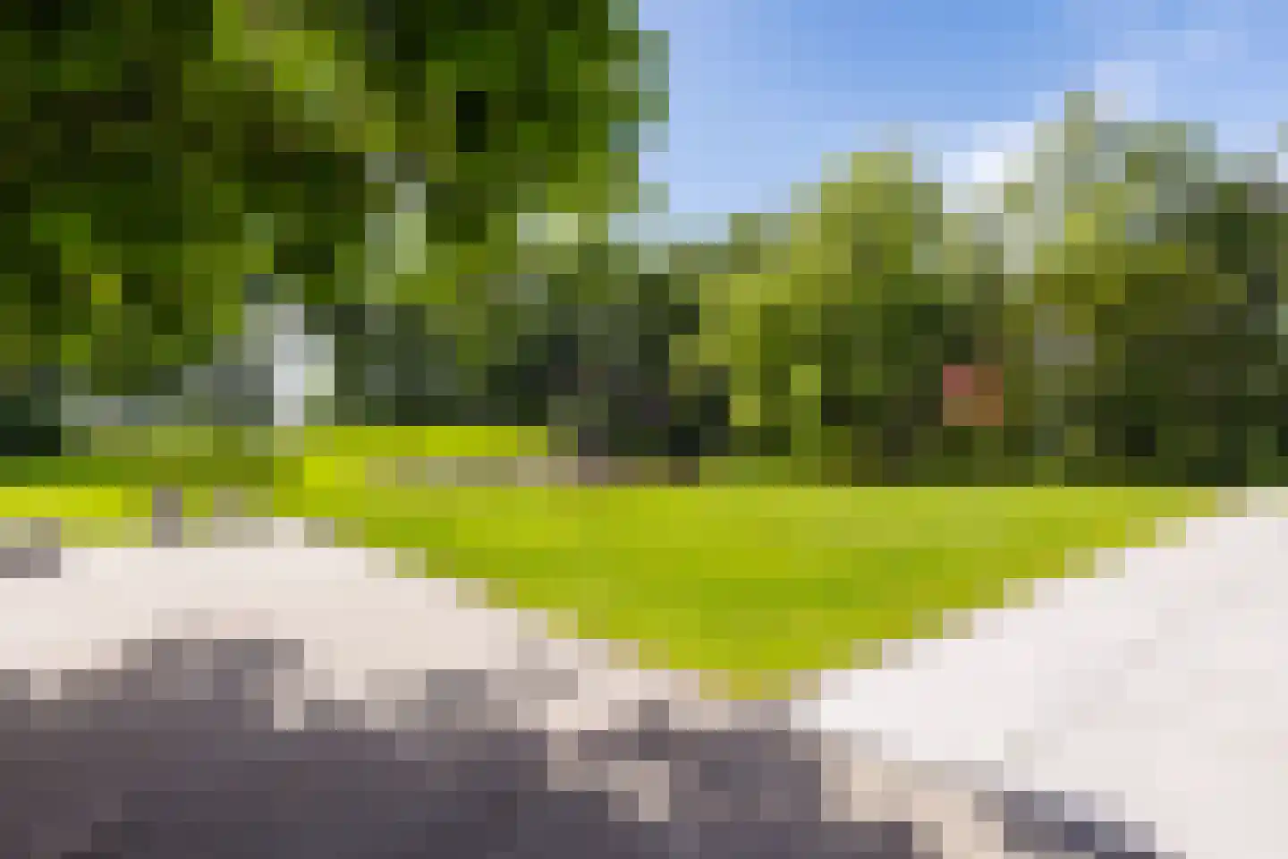 De Leijen 39 Gorredijk thumbnail 69