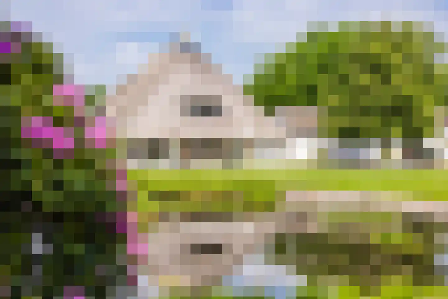 De Leijen 39 Gorredijk thumbnail 72