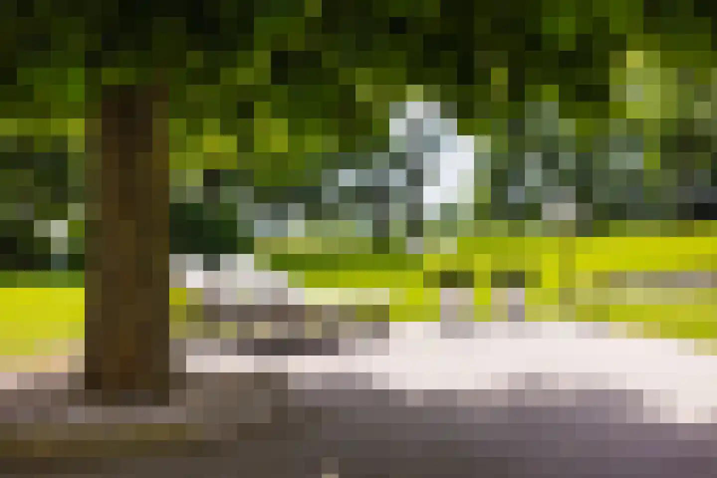 De Leijen 39 Gorredijk thumbnail 73