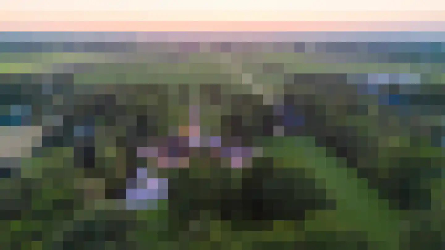 De Leijen 39 Gorredijk thumbnail 84