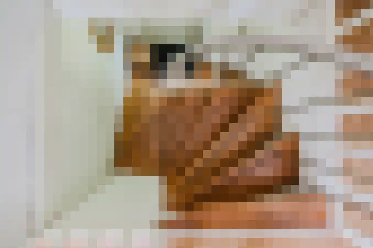 De Leijen 5 Gorredijk thumbnail 33