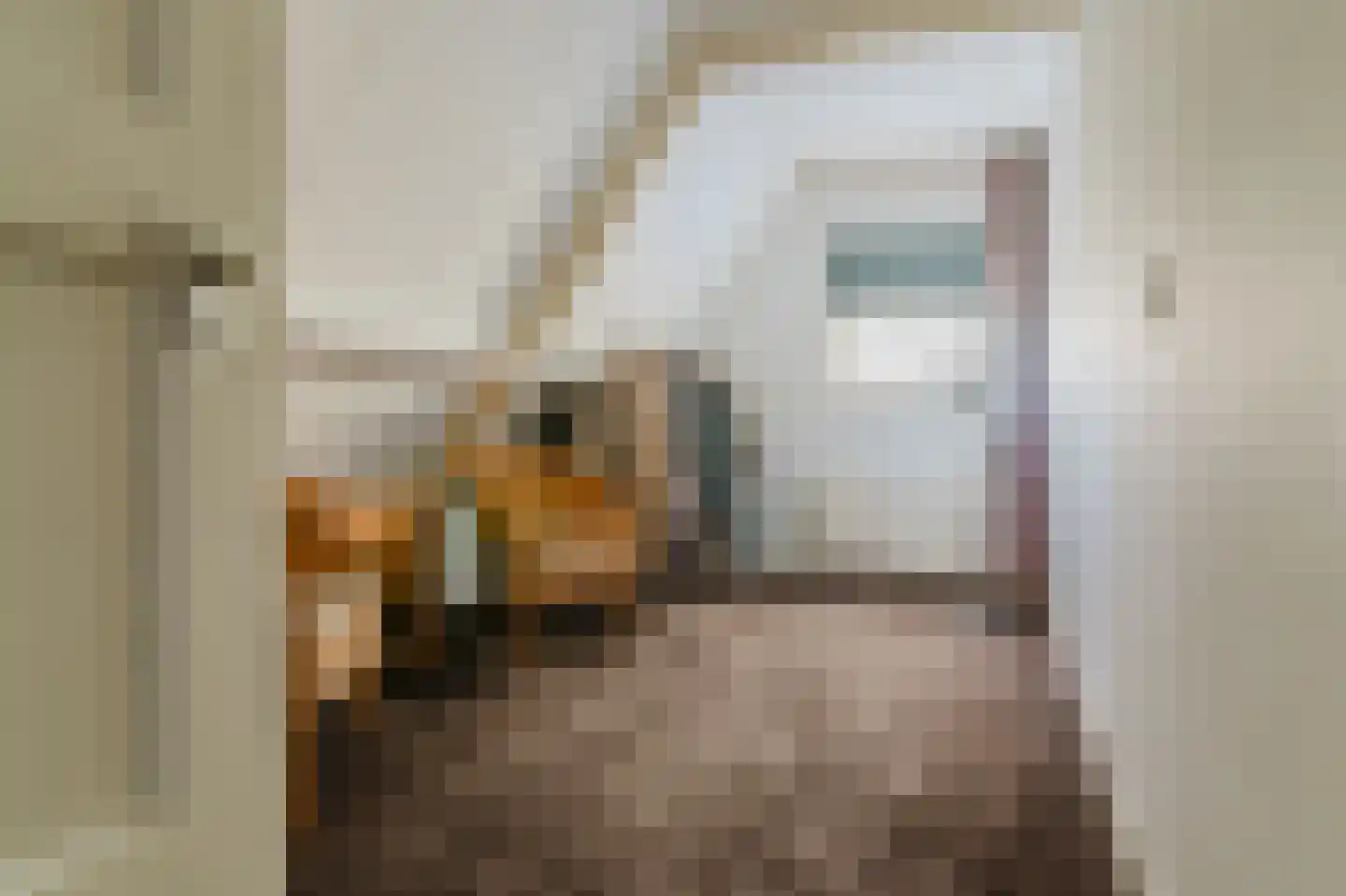 De Leijen 5 Gorredijk thumbnail 38