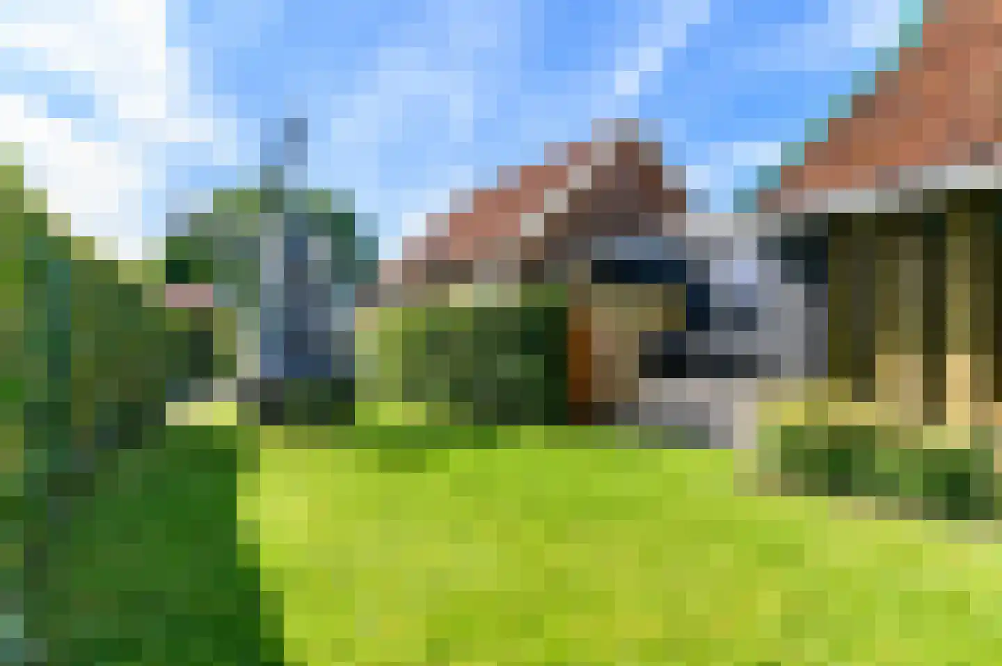 De Leijen 5 Gorredijk thumbnail 42