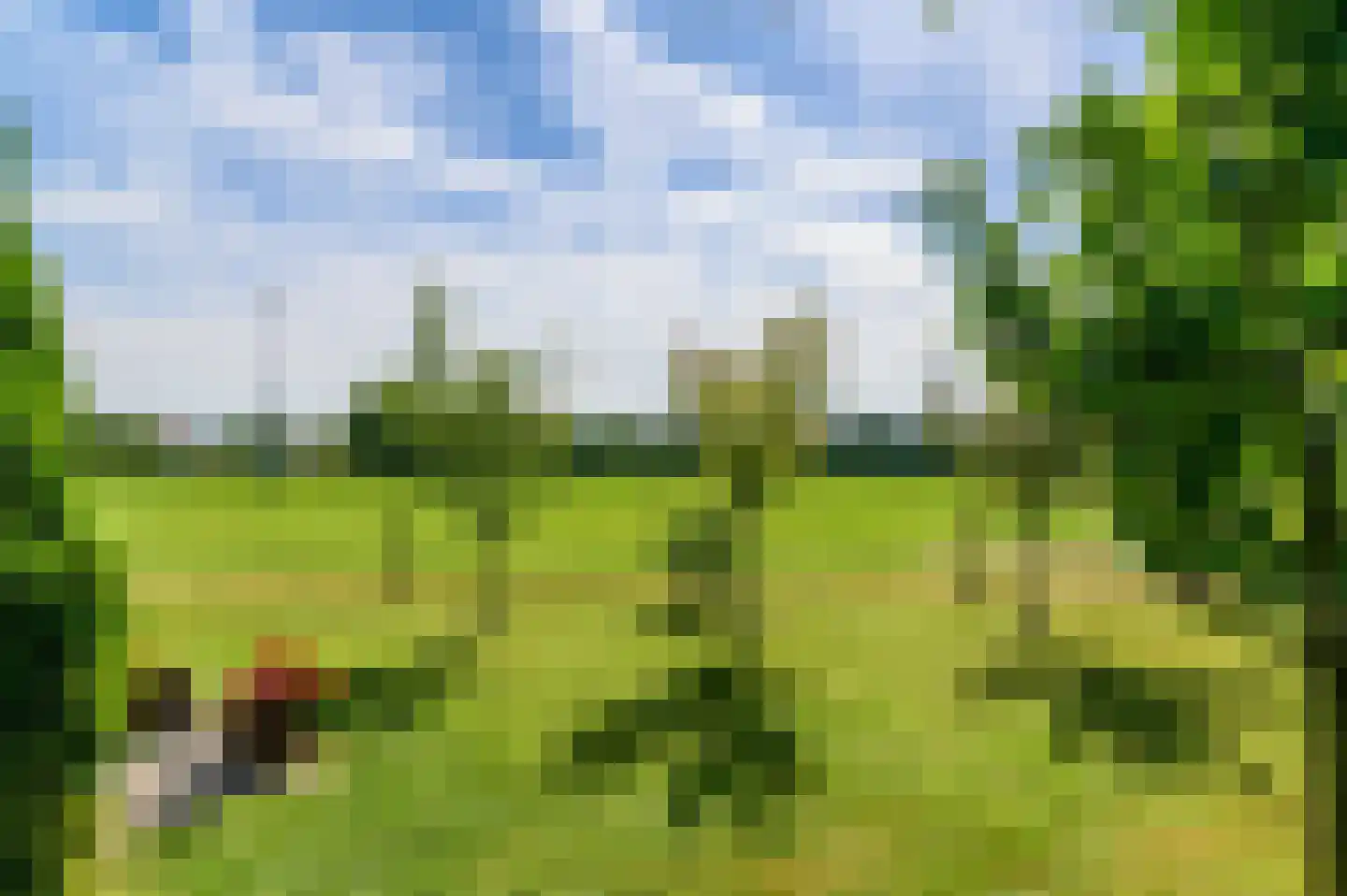 De Leijen 5 Gorredijk thumbnail 50