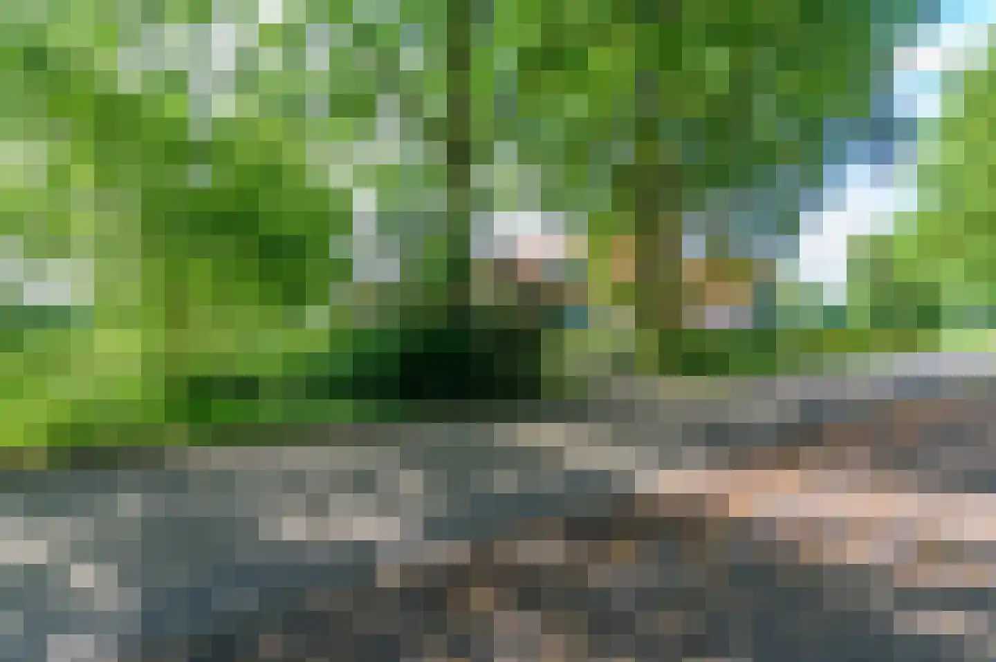 De Leijen 5 Gorredijk thumbnail 52