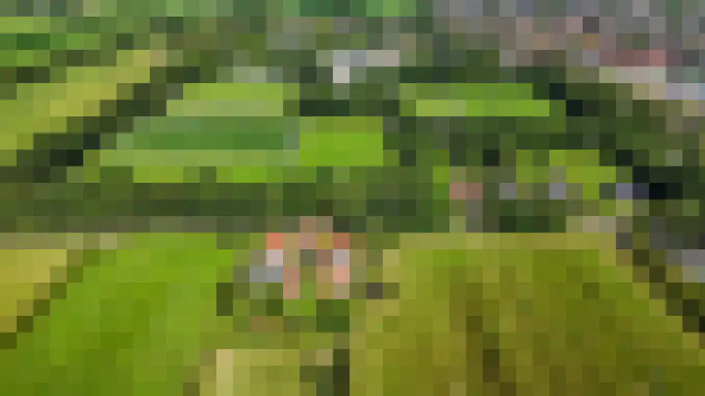 De Leijen 5 Gorredijk thumbnail 53
