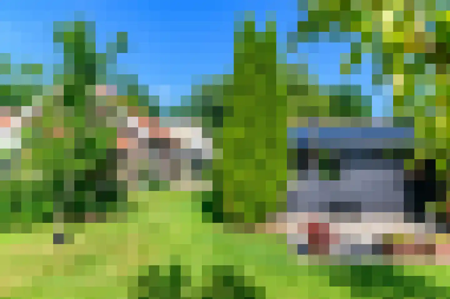 De Leijen 5 Gorredijk thumbnail 8