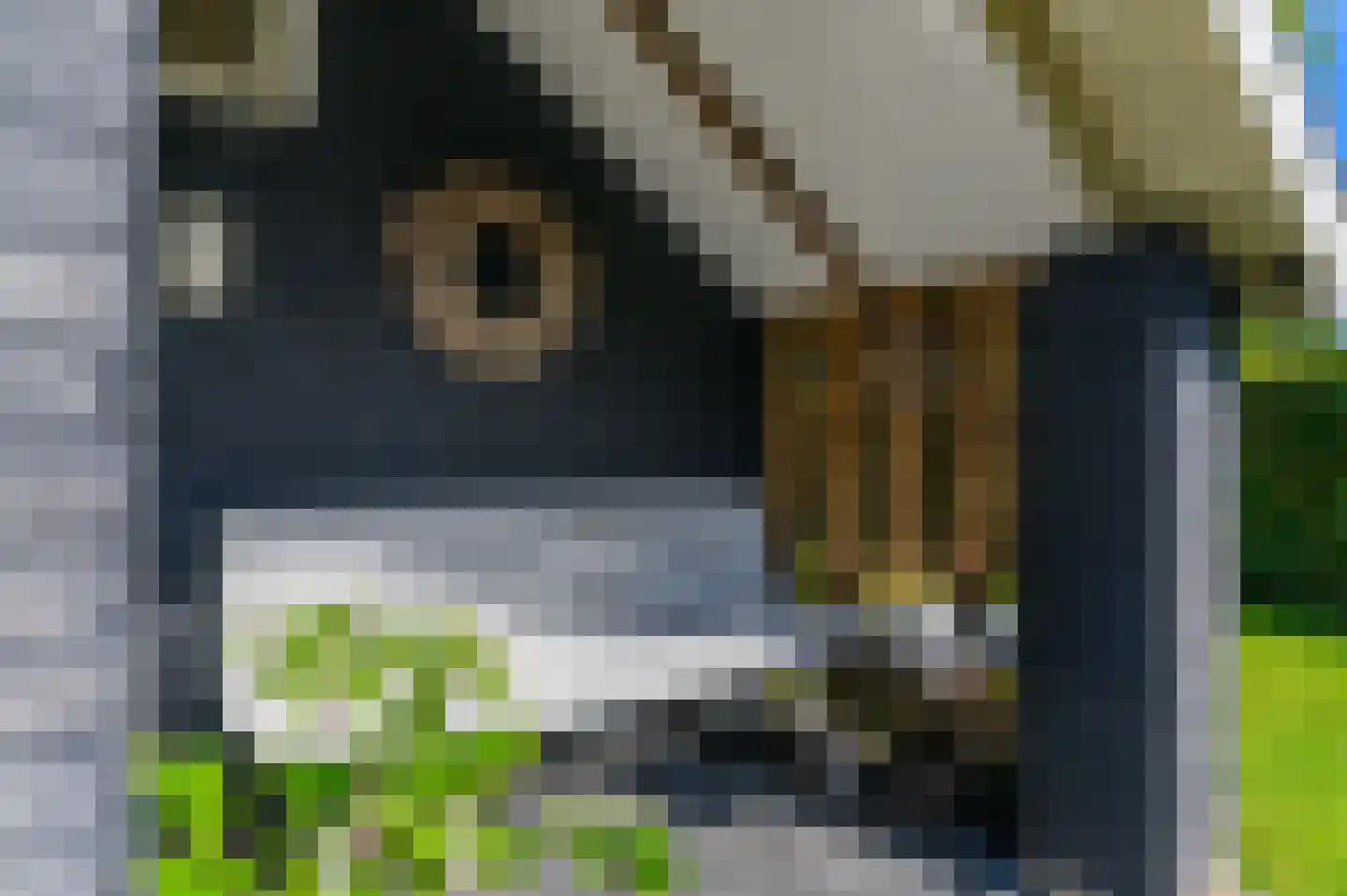 De Leijen 5 Gorredijk thumbnail 9