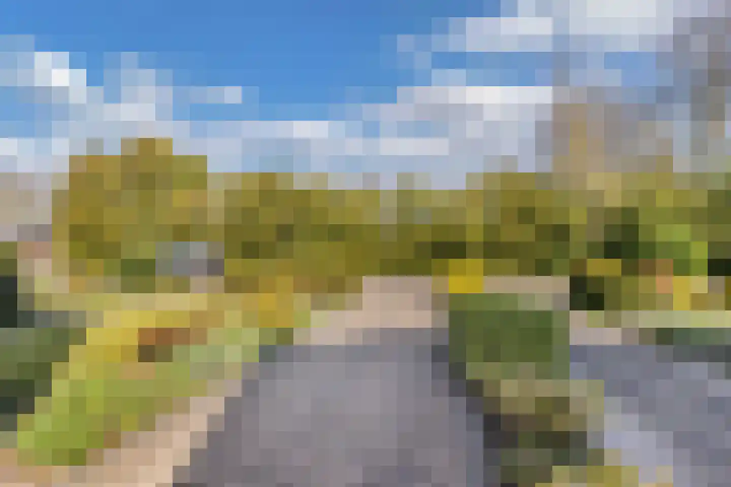 De Leijen 6 Drachten thumbnail 10