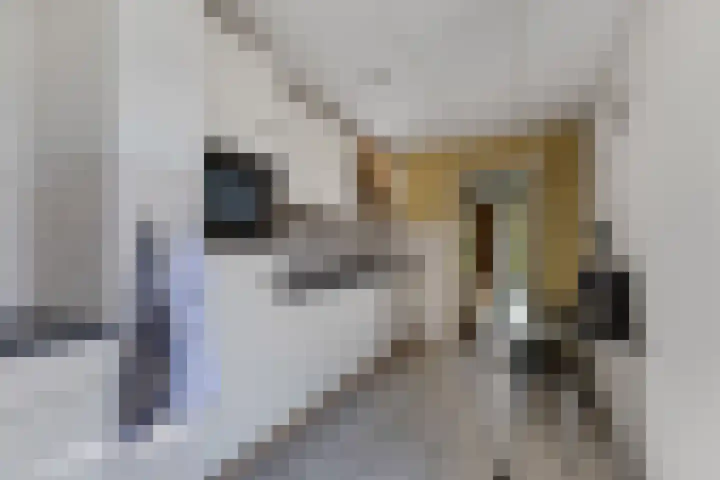 De Leijen 6 Drachten thumbnail 4