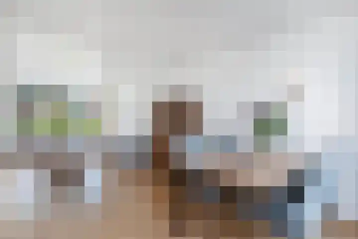 De Leijen 9 Drachten thumbnail 16