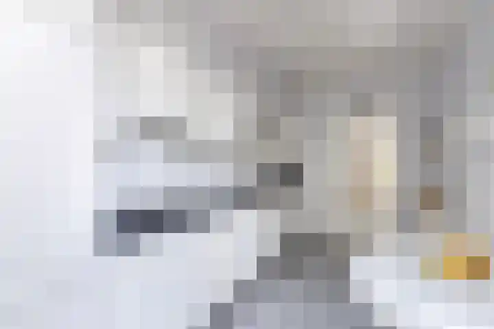 De Leijen 9 Drachten thumbnail 18