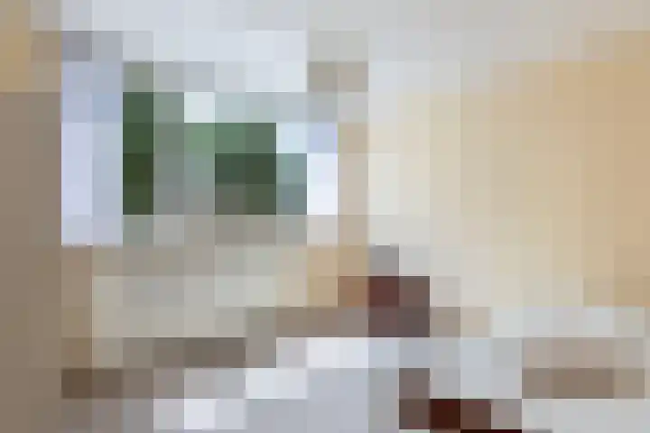 De Leijen 9 Drachten thumbnail 28