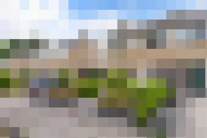 De Leijen 9 Drachten thumbnail 4