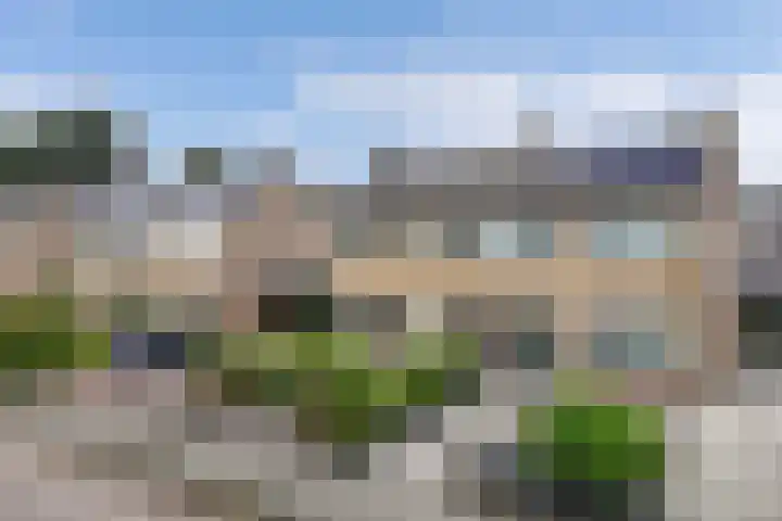 De Leijen 9 Drachten thumbnail 49