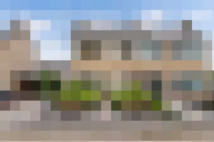 De Leijen 9 Drachten thumbnail 5