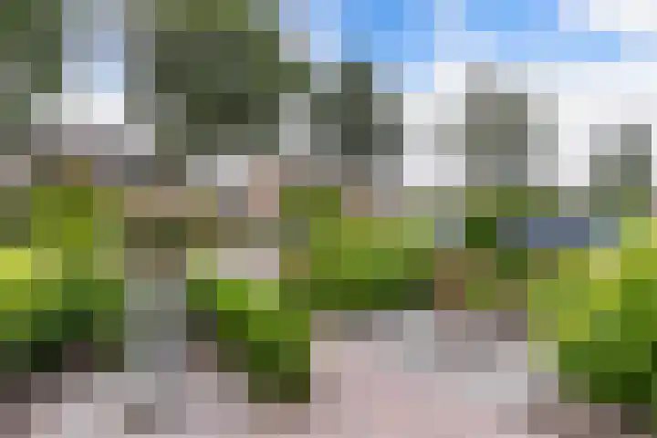 De Leijen 9 Drachten thumbnail 7
