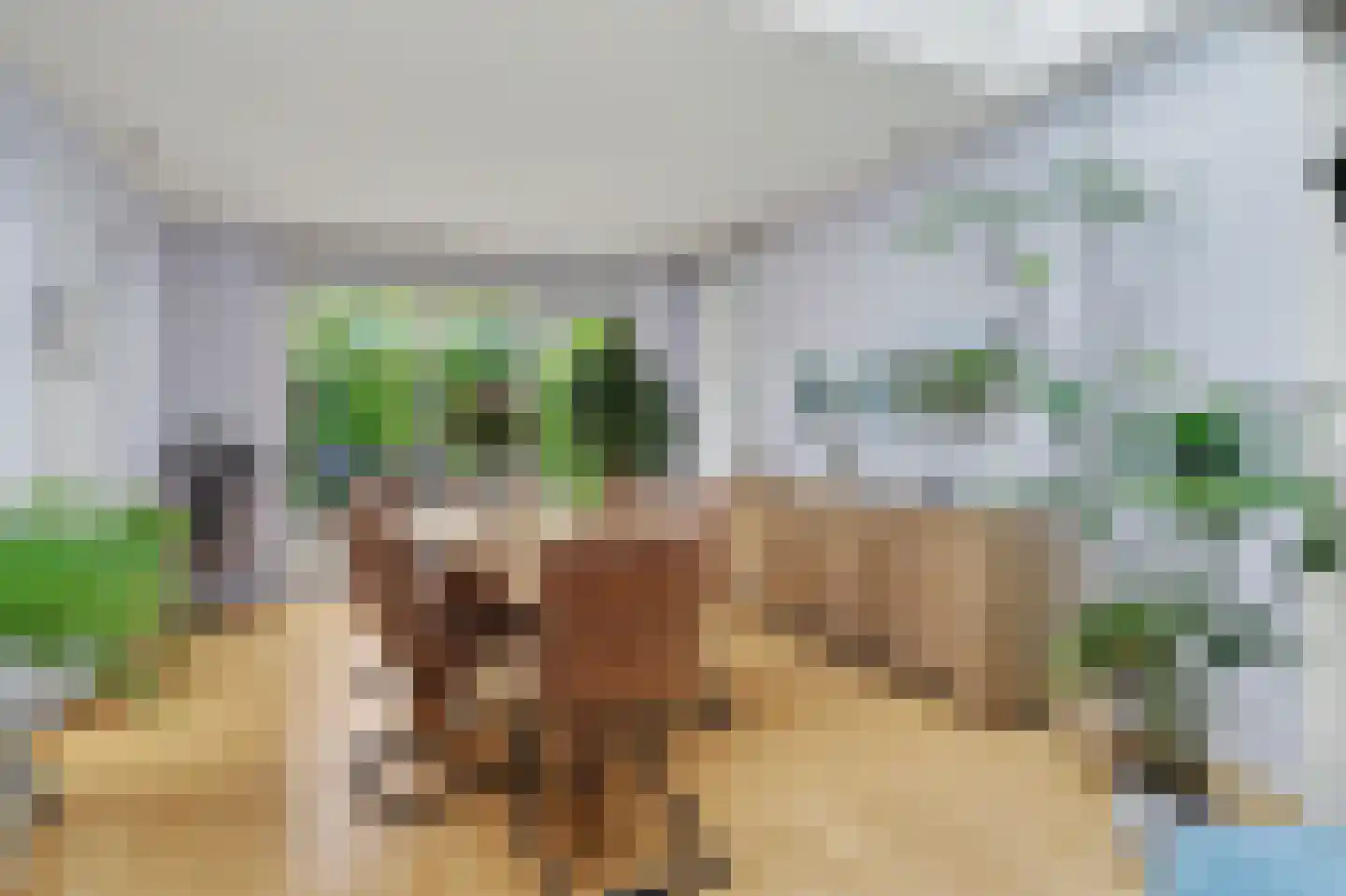De Lek 2 Drunen foto 2