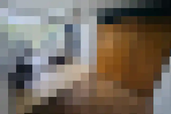 de Lelie 20 Brouwershaven thumbnail 13