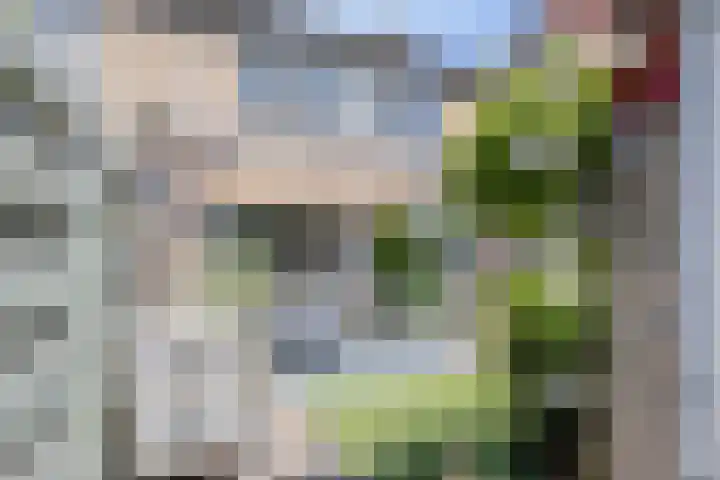 de Lelie 20 Brouwershaven thumbnail 20