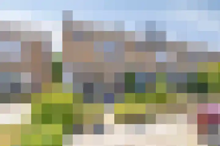 de Lelie 20 Brouwershaven thumbnail 21