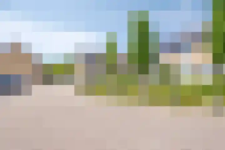 de Lelie 20 Brouwershaven thumbnail 22