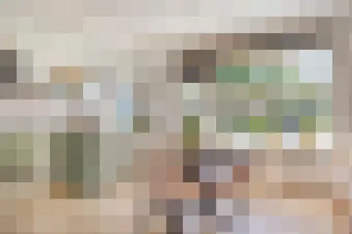 de Lelie 20 Brouwershaven thumbnail 5