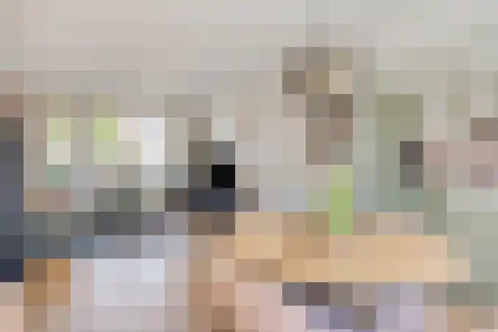 de Lelie 20 Brouwershaven thumbnail 8