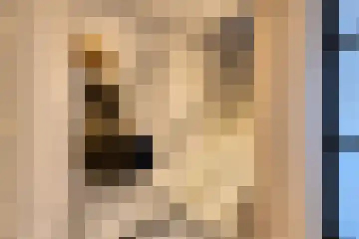 de Lelie 3 Muiden thumbnail 16