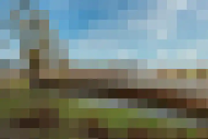 de Lelie 3 Muiden thumbnail 38