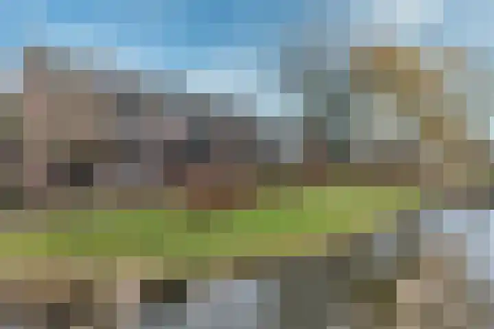 de Lelie 3 Muiden thumbnail 5