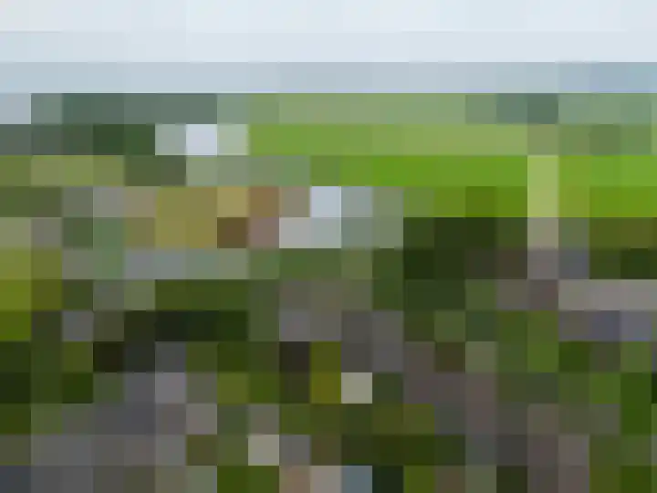 de Lelie 3 Muiden thumbnail 7
