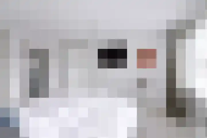 de Lelie 6 Muiden thumbnail 13