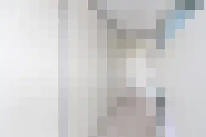de Lelie 6 Muiden thumbnail 14