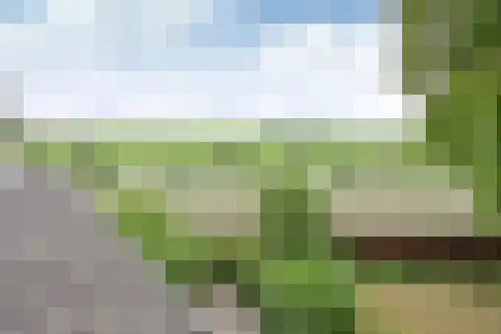 de Lelie 6 Muiden thumbnail 18