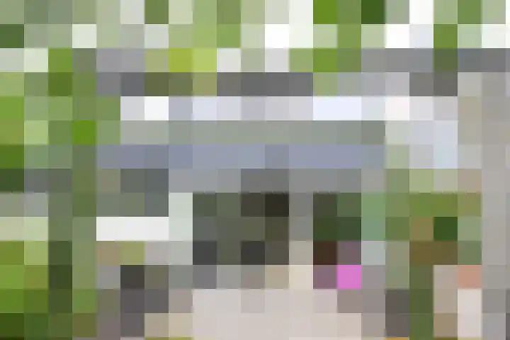 de Lelie 6 Muiden thumbnail 19