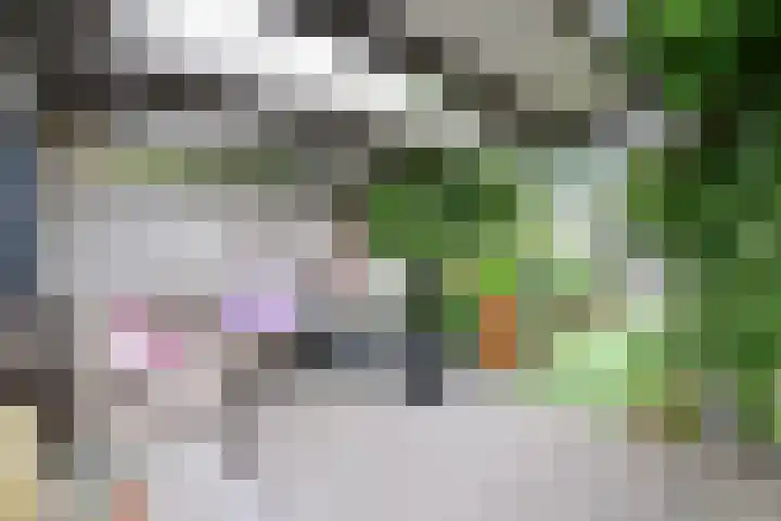 de Lelie 6 Muiden thumbnail 21