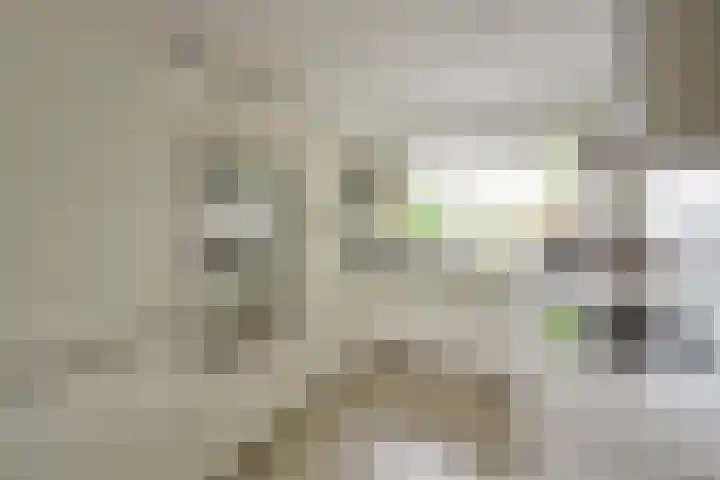 de Lelie 6 Muiden thumbnail 4